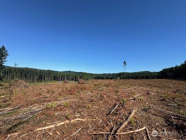 0 Nelson Rd, Winlock, WA 98596 - photo 16