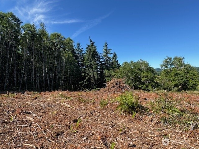 0 Nelson Rd, Winlock, WA 98596 - photo 2