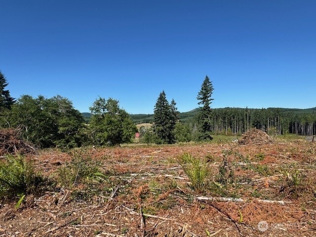 0 Nelson Rd, Winlock, WA 98596 - photo 1