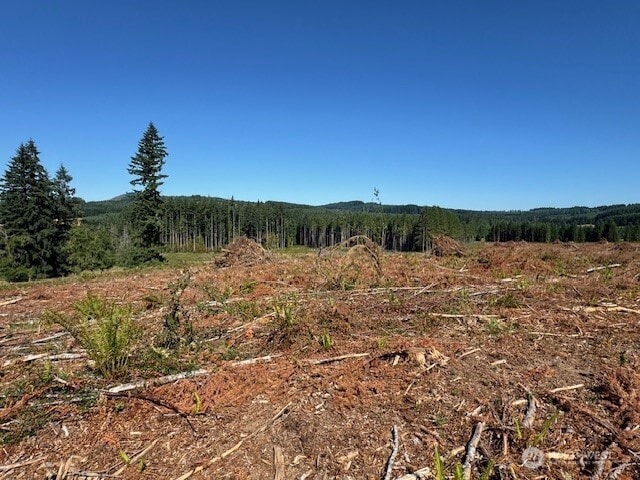 0 Nelson Rd, Winlock, WA 98596 - photo 17