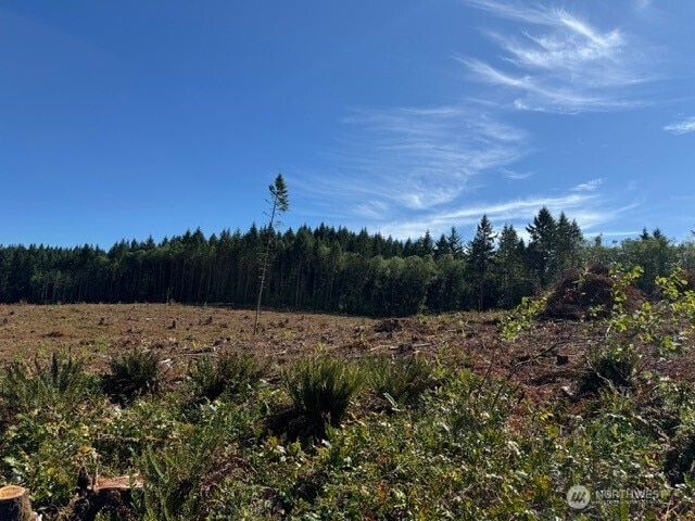 0LOT5 Nelson Rd, Winlock, WA 98596 - photo 4