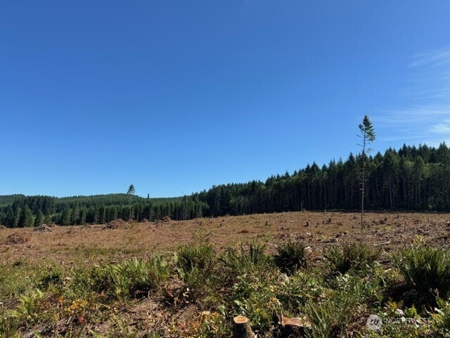 0LOT5 Nelson Rd, Winlock, WA 98596 - photo 2