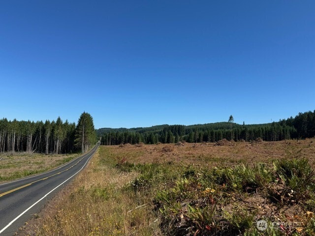 0LOT5 Nelson Rd, Winlock, WA 98596 - photo 7