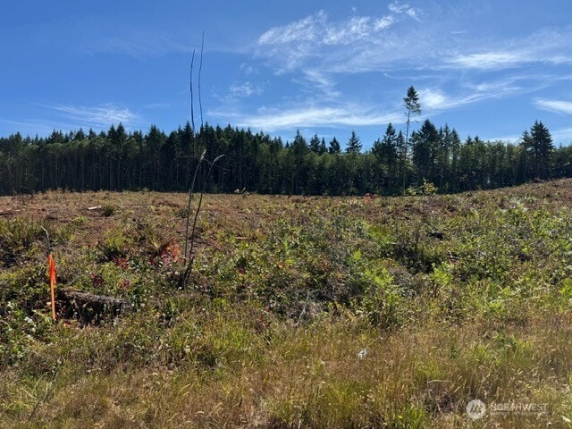 0LOT5 Nelson Rd, Winlock, WA 98596 - photo 6