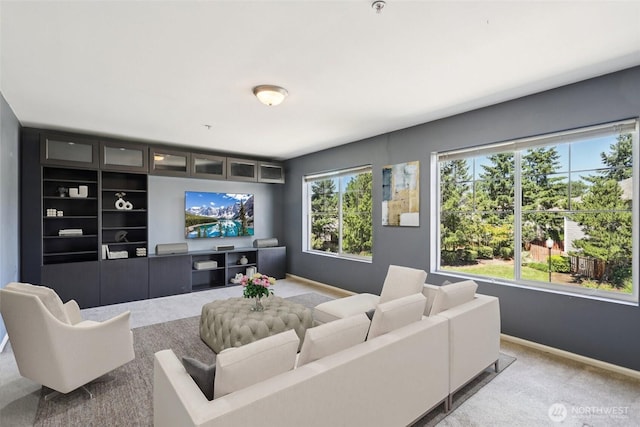 22103 45th Ave S, Kent, WA 98032 - photo 28