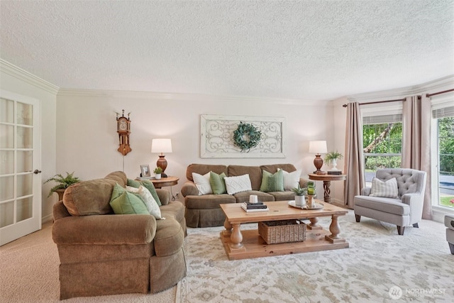 1800 SE 202nd Ave, Camas, WA 98607 - carpeted living room featuring a textured ceiling and crown molding
