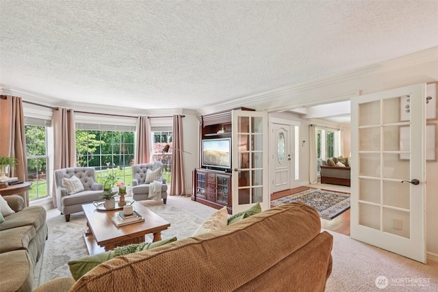 1800 SE 202nd Ave, Camas, WA 98607 - living room featuring ornamental molding and a textured ceiling