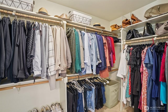 1800 SE 202nd Ave, Camas, WA 98607 - walk in closet with carpet