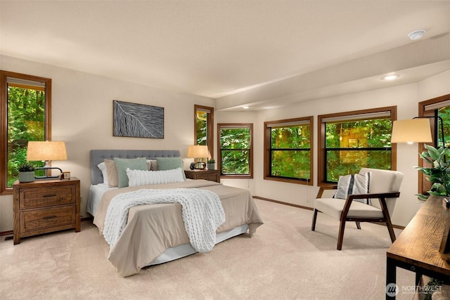 4549 152nd Pl SE, Bellevue, WA 98006 - photo 16