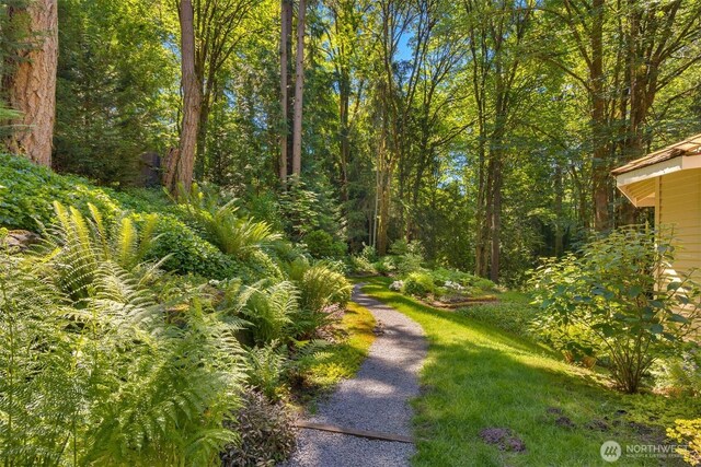 4549 152nd Pl SE, Bellevue, WA 98006 - photo 37