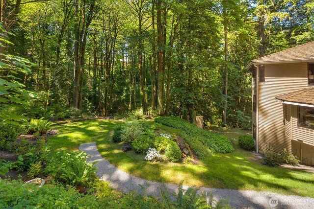 4549 152nd Pl SE, Bellevue, WA 98006 - photo 38