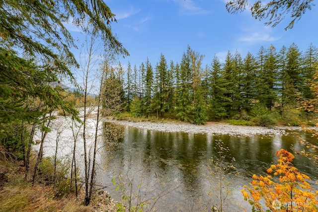 44111 SE Mt Si Rd, North Bend, WA 98045 - water view