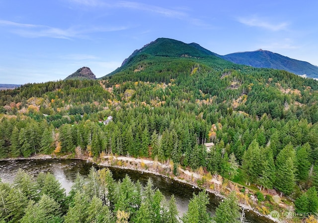 44111 SE Mt Si Rd, North Bend, WA 98045 - view of mountain background with a heavily wooded area and a large body of water