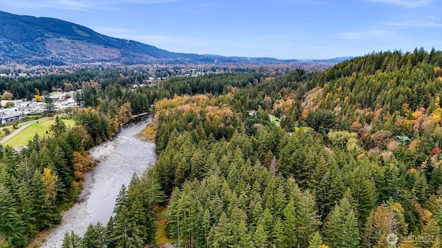 44111 SE Mt Si Rd, North Bend, WA 98045 - view of mountain background featuring a heavily wooded area