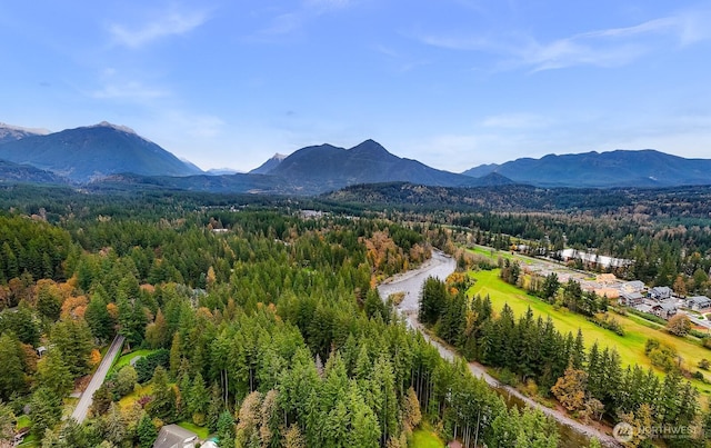 44111 SE Mt Si Rd, North Bend, WA 98045 - view of mountain background featuring a forest