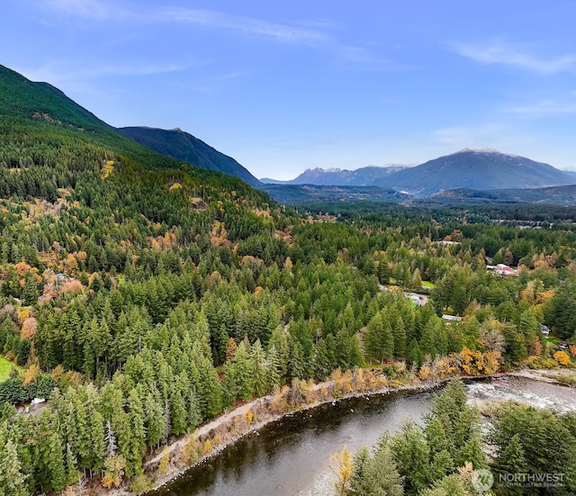 44111 SE Mt Si Rd, North Bend, WA 98045 - view of mountain backdrop featuring a forest and a large body of water