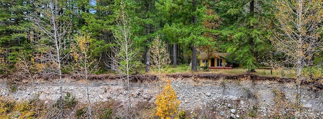 44111 SE Mt Si Rd, North Bend, WA 98045 - view of local wilderness