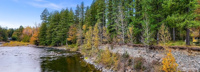 44111 SE Mt Si Rd, North Bend, WA 98045 - water view with a heavily wooded area