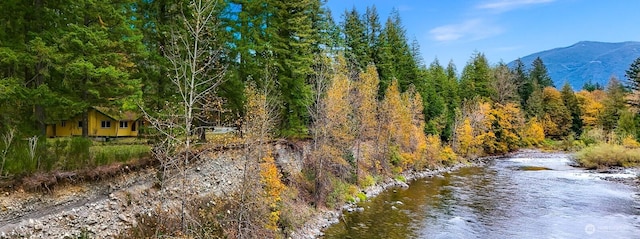 44111 SE Mt Si Rd, North Bend, WA 98045 - water view with a heavily wooded area and mountains