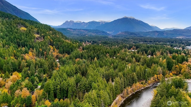 44111 SE Mt Si Rd, North Bend, WA 98045 - view of mountain backdrop with a heavily wooded area