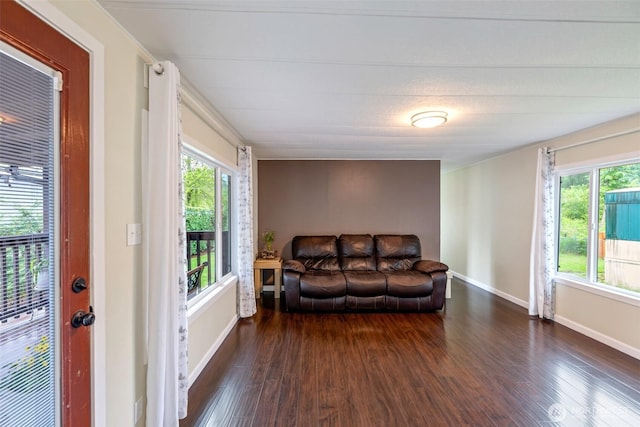 31108 3rd Ave Unit 330, Black Diamond, WA 98010 - living room with dark wood-type flooring and plenty of natural light