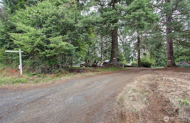 37413 NE 41st Ave, La Center, WA 98629 - photo 3