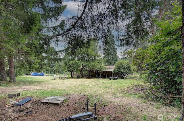 37413 NE 41st Ave, La Center, WA 98629 - photo 4