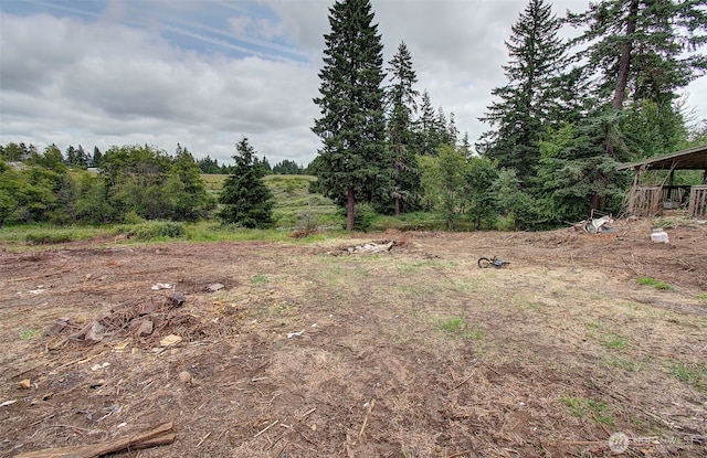 37413 NE 41st Ave, La Center, WA 98629 - photo 6
