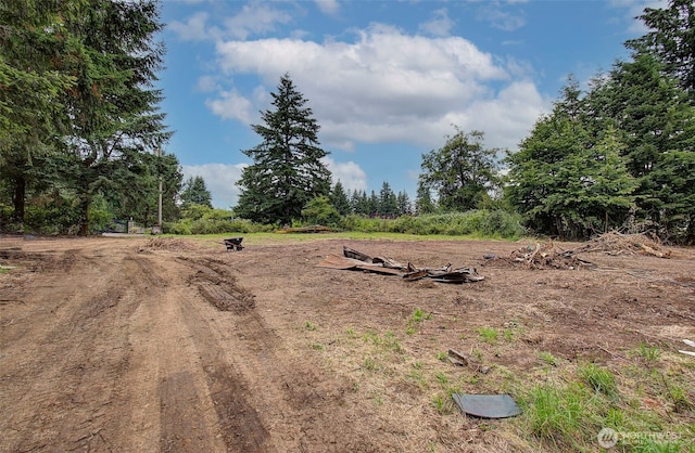 37413 NE 41st Ave, La Center, WA 98629 - photo 7