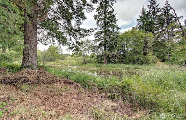 37413 NE 41st Ave, La Center, WA 98629 - photo 12