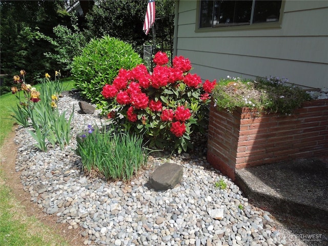 902 Duffy St, Centralia, WA 98531 - photo 30