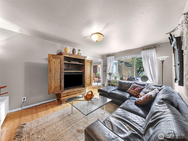 105 Shuksan St, Everson, WA 98247 - living area with light wood finished floors and a textured ceiling