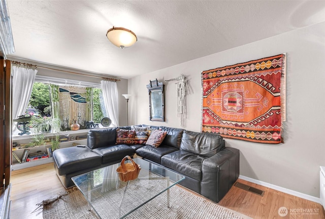 105 Shuksan St, Everson, WA 98247 - living room featuring wood finished floors and a textured ceiling