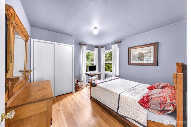 105 Shuksan St, Everson, WA 98247 - bedroom featuring light wood-type flooring and a closet