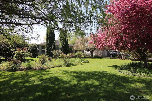 105 Shuksan St, Everson, WA 98247 - view of grassy yard