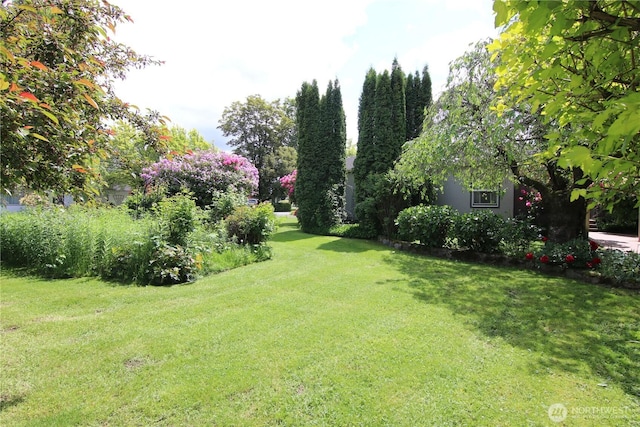 105 Shuksan St, Everson, WA 98247 - view of grassy yard