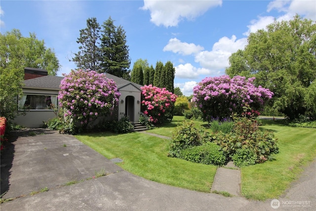 105 Shuksan St, Everson, WA 98247 - view of green lawn