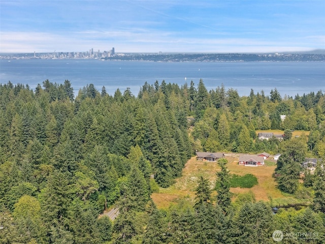 1738 Lilypad Pl E, Port Orchard, WA 98366 - drone / aerial view of a nearby body of water