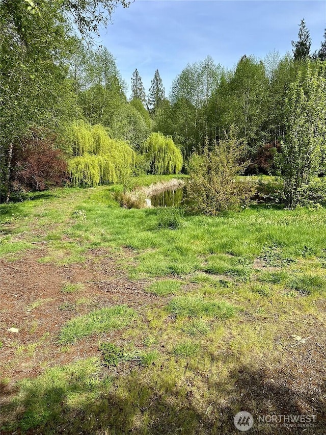 8951 Bethel Burley Rd SE, Port Orchard, WA 98367 - photo 38