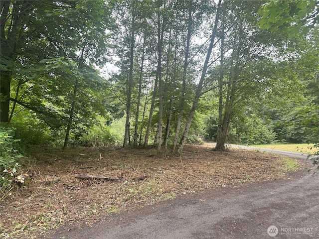 0 Skidder Hill Rd, Quilcene, WA 98376 - photo 1