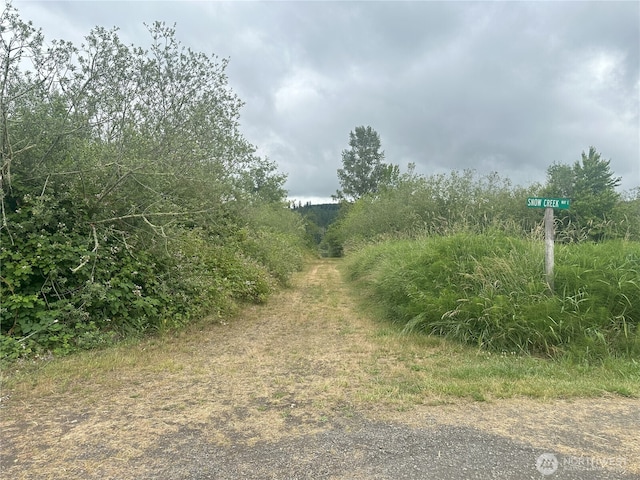 0 Skidder Hill Rd, Quilcene, WA 98376 - photo 10