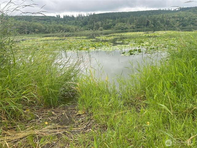 0 Skidder Hill Rd, Quilcene, WA 98376 - photo 11
