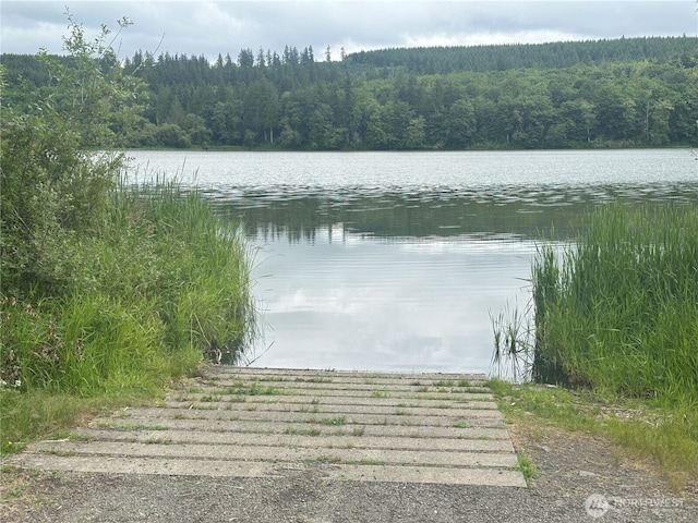 0 Skidder Hill Rd, Quilcene, WA 98376 - photo 13