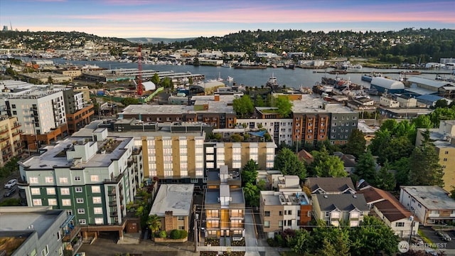 2419 NW 57th Unit B, Seattle, WA 98107 - bird's eye view of a nearby body of water