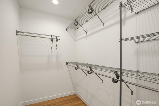 2419 NW 57th Unit B, Seattle, WA 98107 - walk in closet with light wood-type flooring