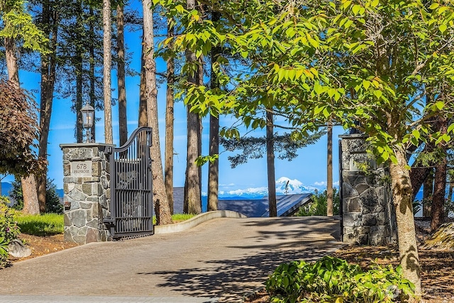678 Primrose Ln, Friday Harbor, WA 98250 - view of road featuring a gate