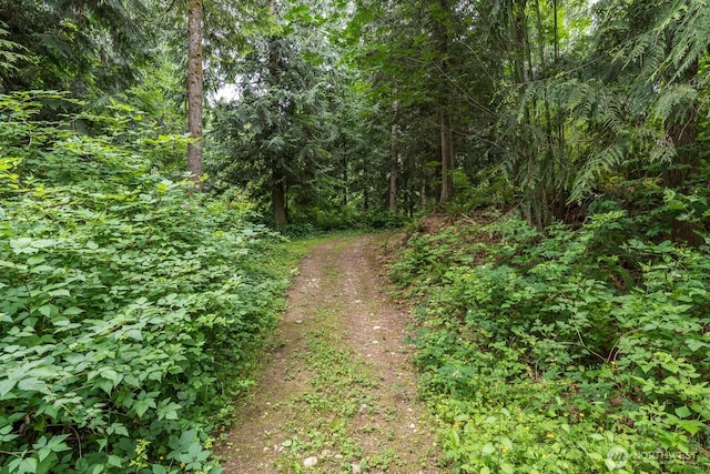 14314 66th Ave NW, Stanwood, WA 98292 - photo 38