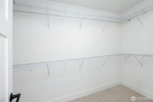 9 160th St SE, Bothell, WA 98012 - walk in closet featuring carpet flooring