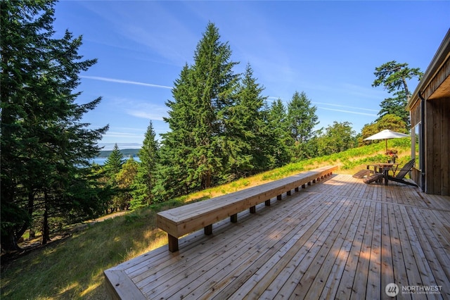 177 Harmon Ranch Hill Rd, Decatur Island, WA 98221 - photo 19