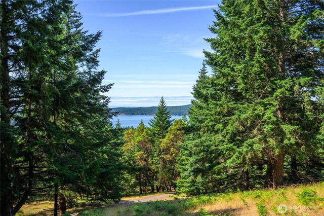 177 Harmon Ranch Hill Rd, Decatur Island, WA 98221 - photo 20